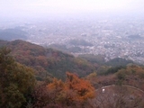 紅葉 大平山2