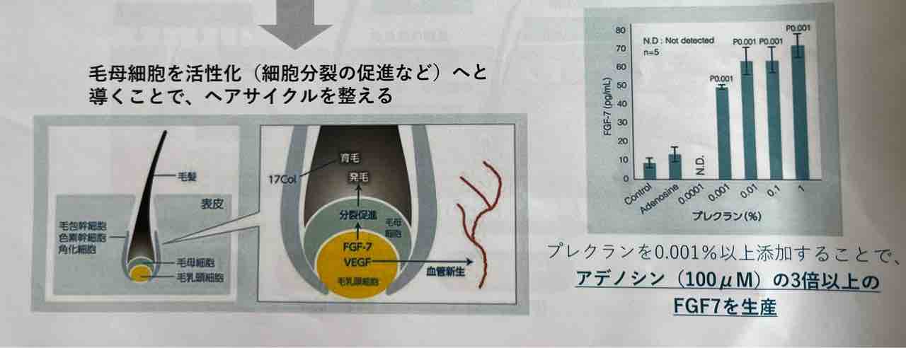 イチノ スカルプシナジーエッセンス : Natura+3Lab、落合のブログ