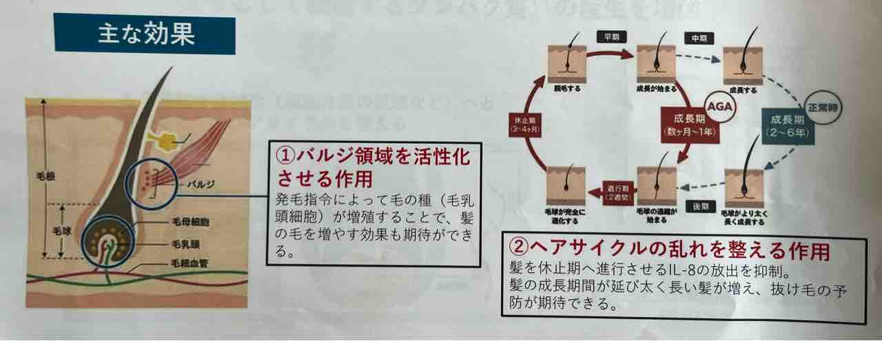 イチノ スカルプシナジーエッセンス : Natura+3Lab、落合のブログ