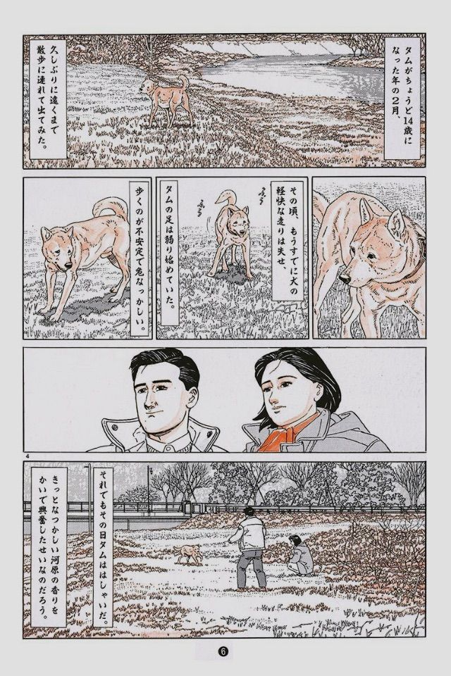 谷口ジローの感動犬マンガ 犬を飼う が苦しくなるくらいよかったで 今度は愛犬映像家 谷口ジローの感動犬マンガ 犬を飼う が苦しくなるくらいよかったで 今度は愛犬映像家