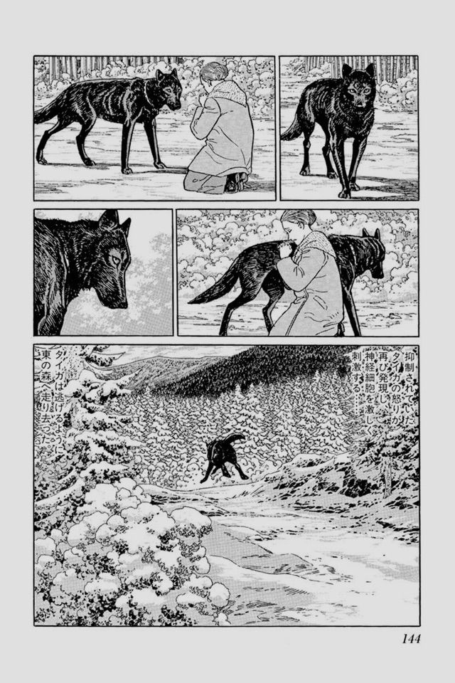 大の男が熱くなる犬漫画 谷口ジローの 神の犬 今度は愛犬映像家 大の男が熱くなる犬漫画 谷口ジローの 神の犬 今度は愛犬映像家