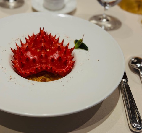 548602416_3237923553012892_6115570891259927264_n