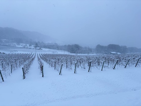 594444570_3333616896776890_5679835005304197465_n