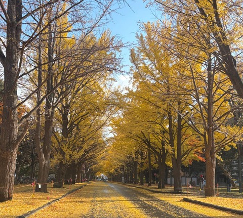 578250255_3296663267138920_4226266834508152922_n