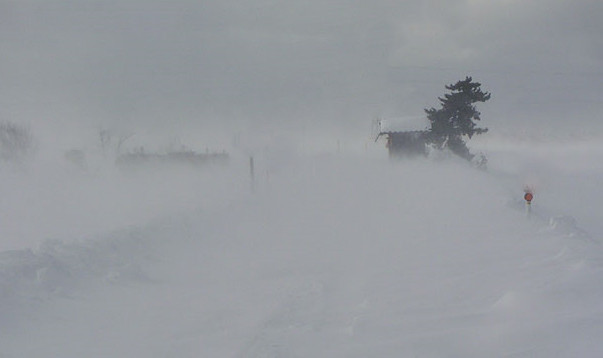 今朝の猛吹雪 篠路 丘珠ブリザード 危ない グーン ダーン 中村雅人の 天気晴朗なれど波高し