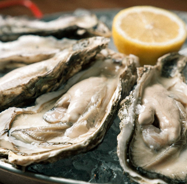 Oyster Bar Salt Moderate オイスターバーソルトモデラート札幌 中村雅人の 天気晴朗なれど波高し