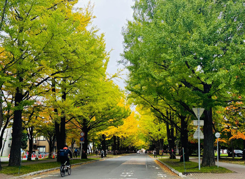 571148446_3281568125315101_3503160803350246414_n