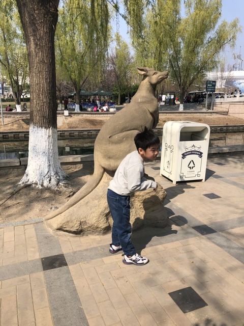 beijing_zoo