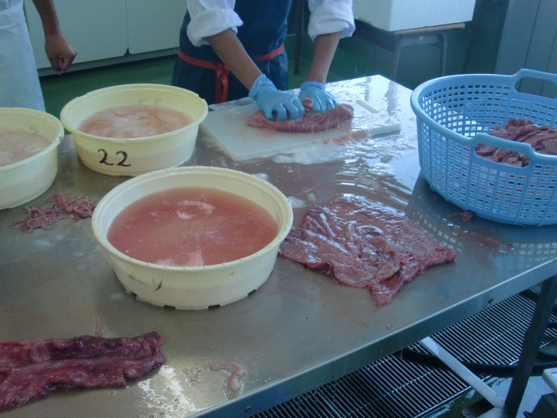 マグロ内臓実習 味処美佐 日々いろいろ