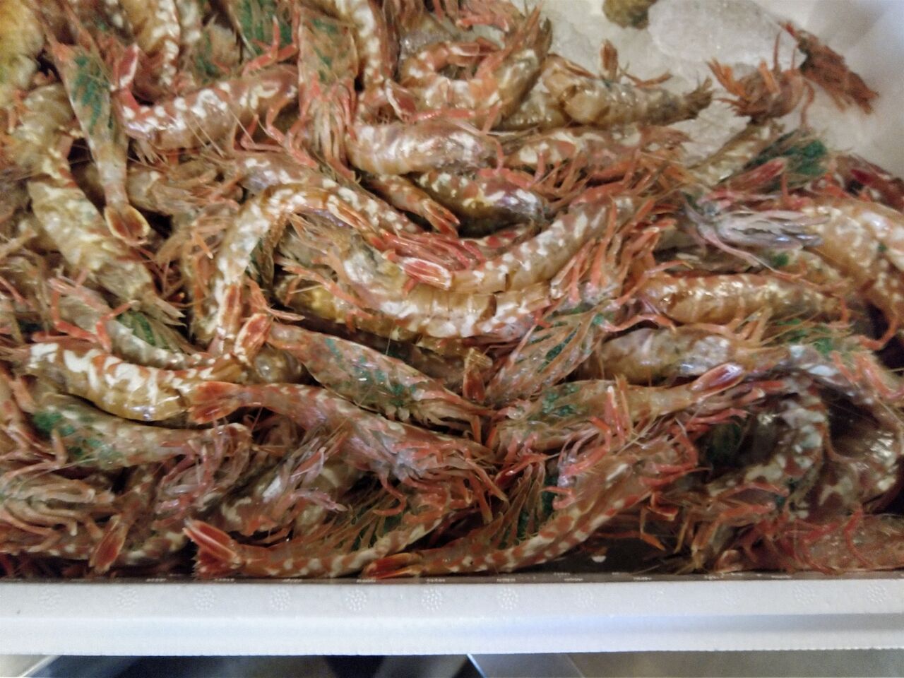 最近の仕入れ 料理 味処美佐 日々いろいろ 最近の仕入れ 料理 味処美佐 日々いろいろ
