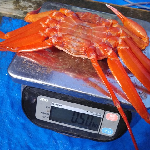 KIMG3639
