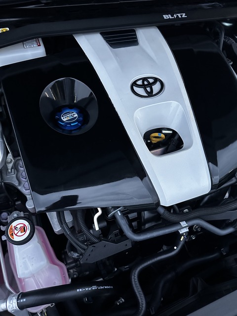 1D34DB51-DEC1-4C6C-AB0D-66DD03BEA8D3