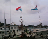 78d900a9.jpg