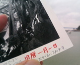 fe939385.jpg