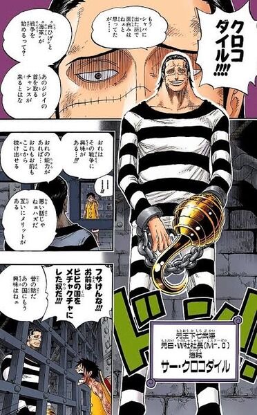クロコダイル
