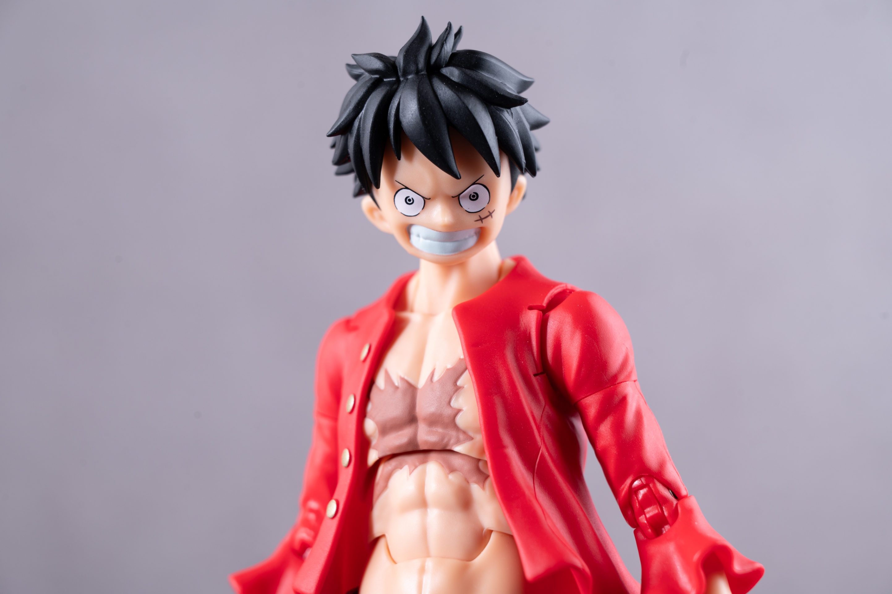 レビュー】S.H.figuarts モンキー・D・ルフィ -鬼ヶ島討入- : 関節
