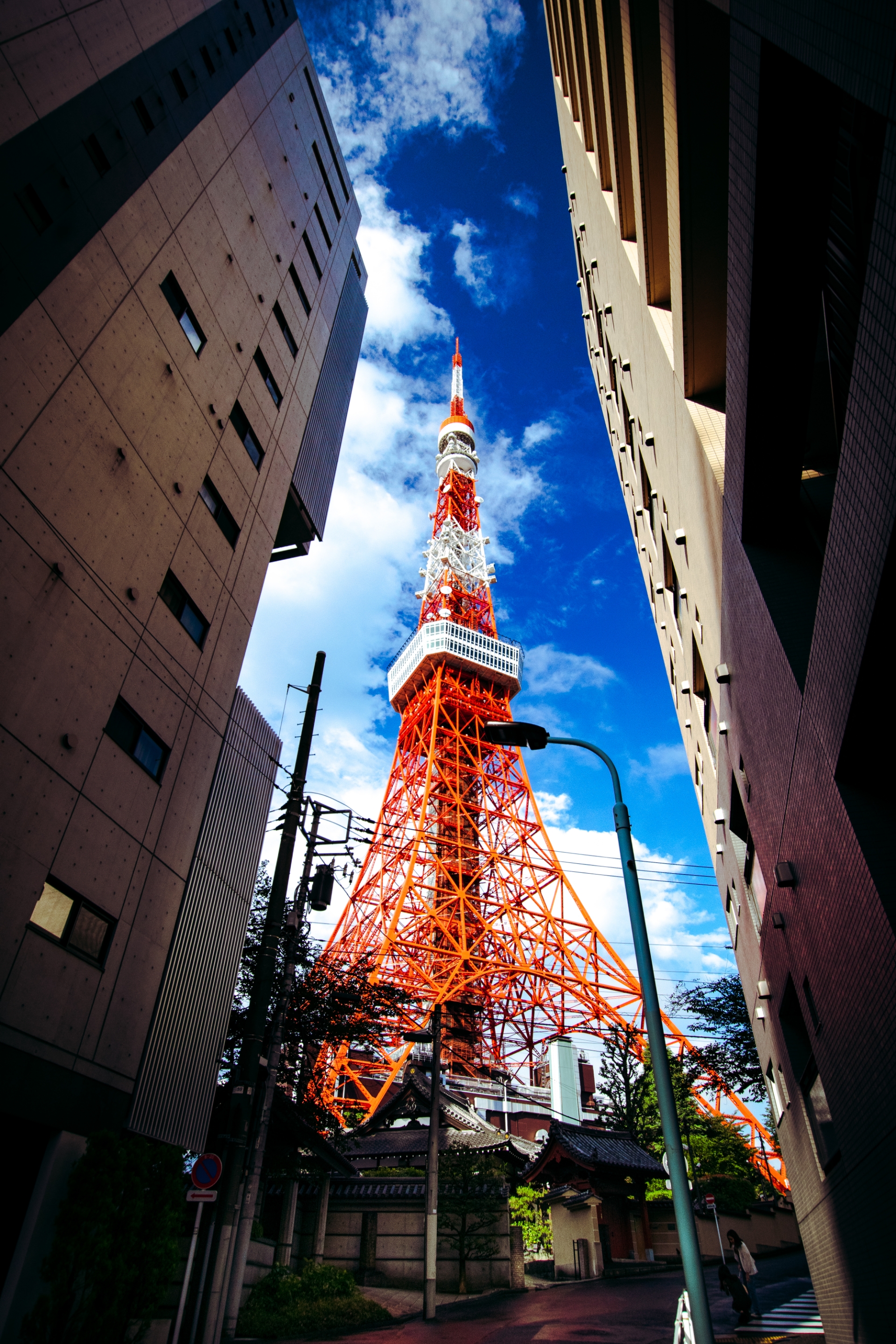 SIGMA 10-20mm F3.5 EX DC HSM レビュー : 関節フィギュア庫