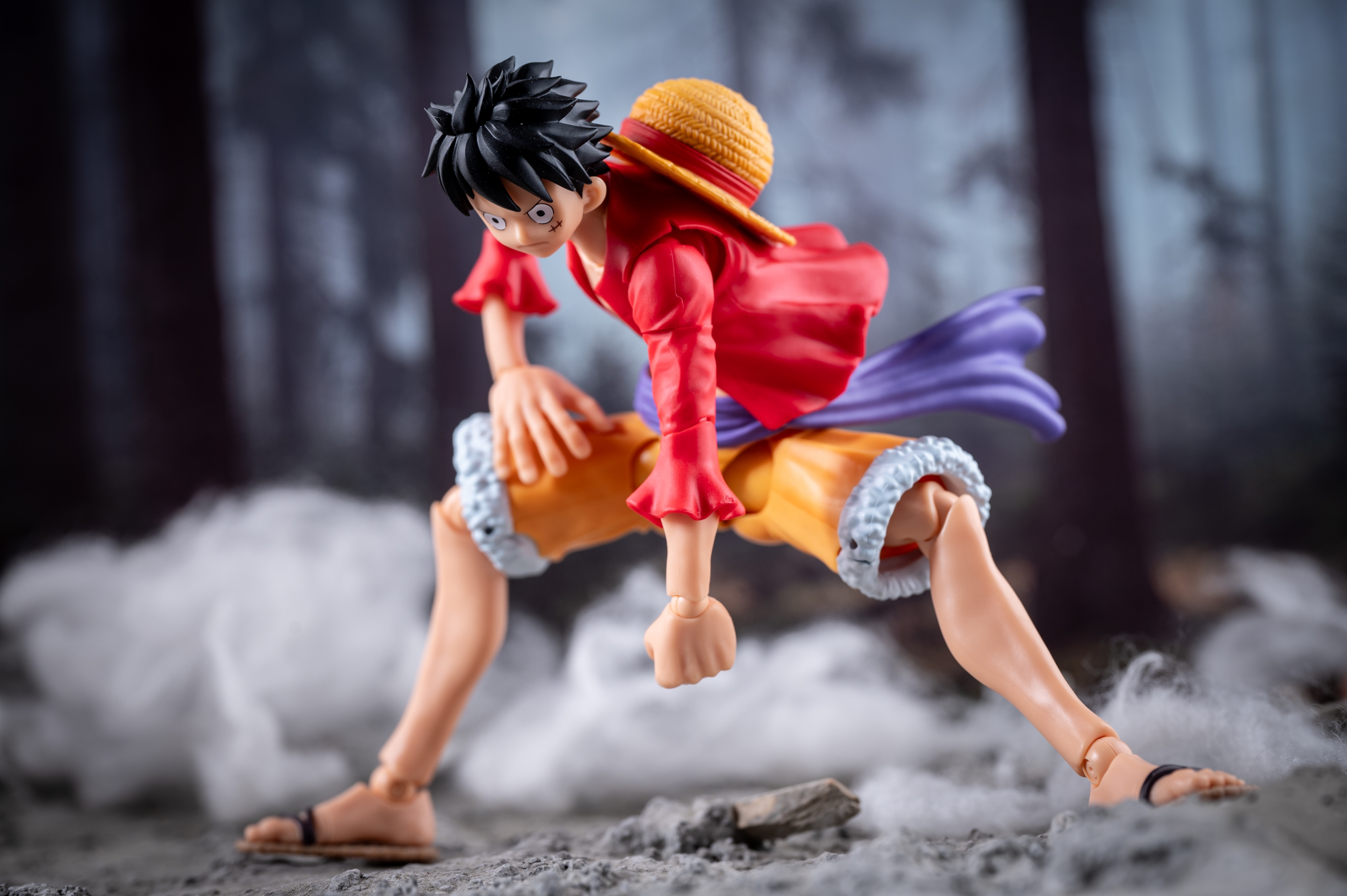 S.H.Figuarts モンキー・D・ルフィ -ギア5- ワンピース