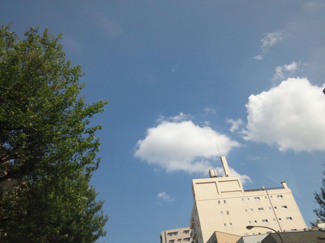 金曜の夜の正しい過ごし方 Seki S Blog 金曜の夜の正しい過ごし方 Seki S Blog
