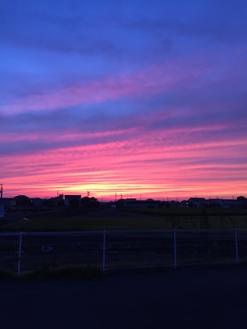 37d0e91f.jpg