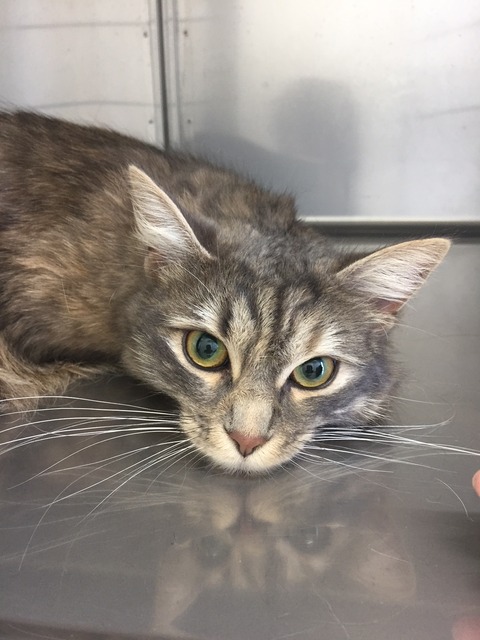 ルール―2018.6.24