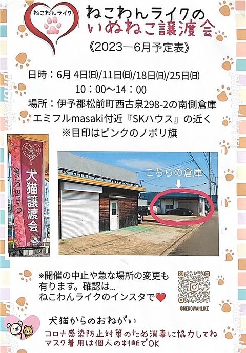 IMG_5365.JPGねこわん