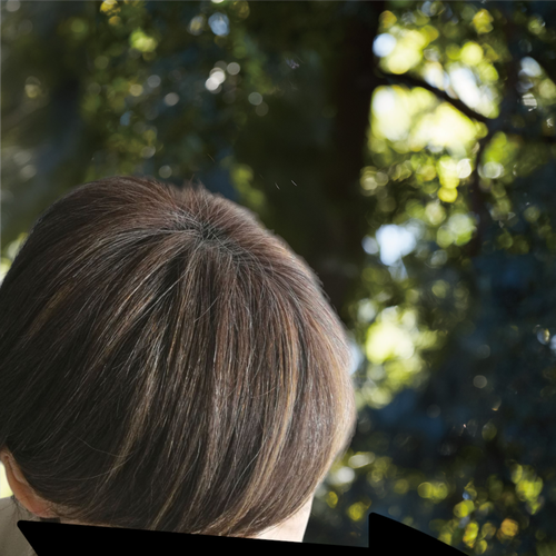 IMG_20250325_110338_edit_9055030696601630