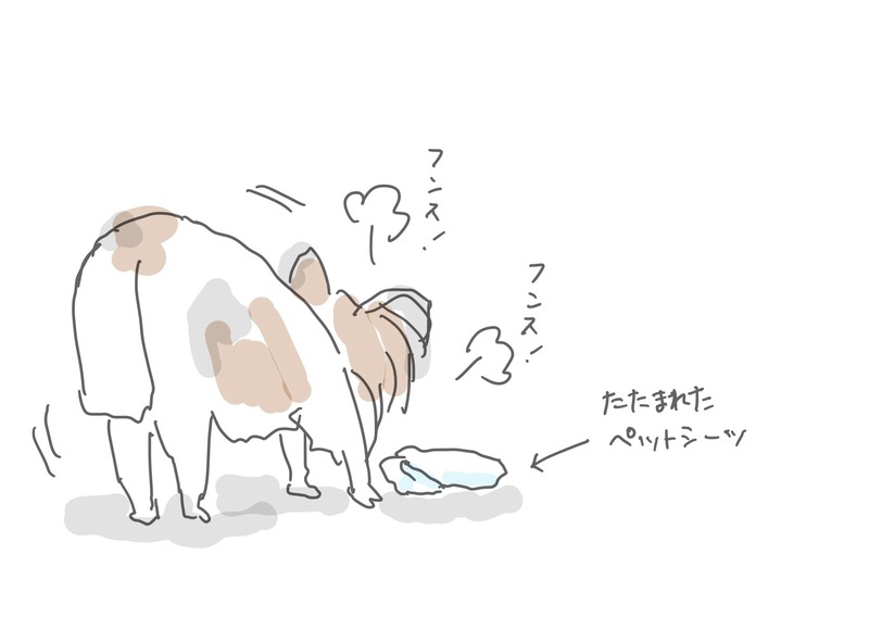 82D5C9D5-A49A-484A-BA02-ED2B37F9324A