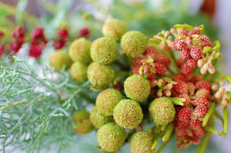 DSC_7090_copy_1504x1000