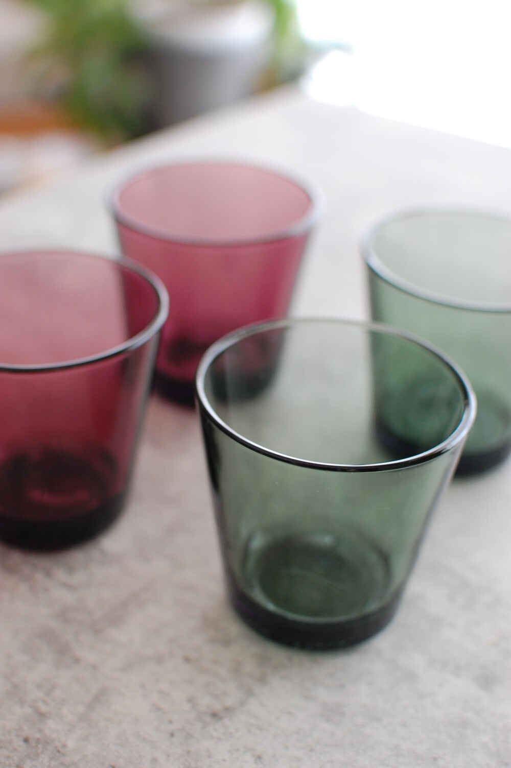 イッタラ】カルーナとパイングリーンの由来◇楽天SSファッション