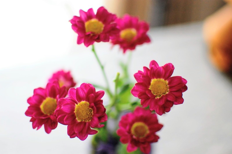 DSC_7019_copy_1504x1000