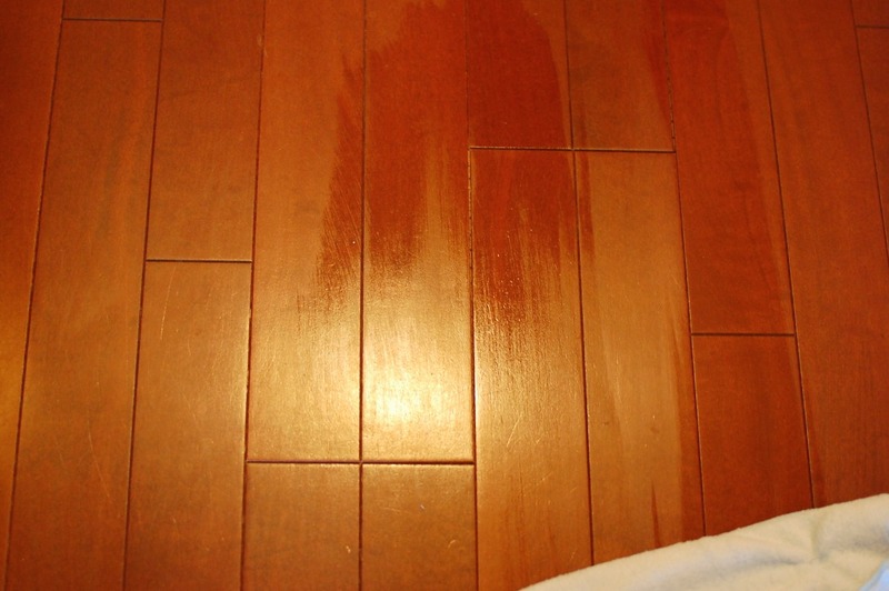 DSC_6494_copy_1504x1000