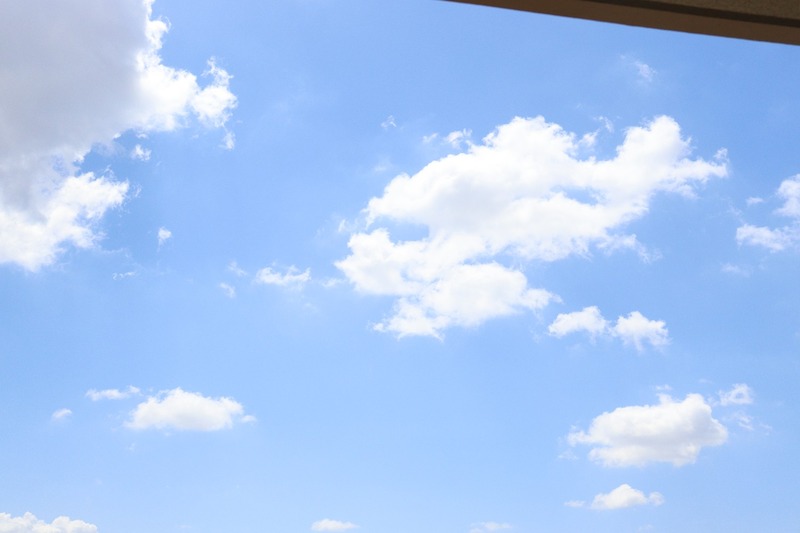 IMG_4206_copy_1500x1000