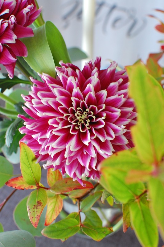 DSC_5466_copy_1000x1504