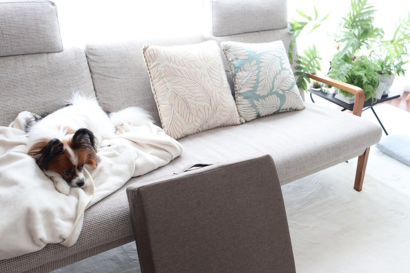 IMG_4135_copy_1500x1000