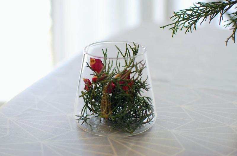 DSC_7083_copy_1504x1000