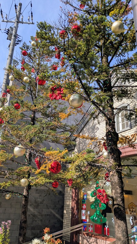 PXL_20251123_020350169~2