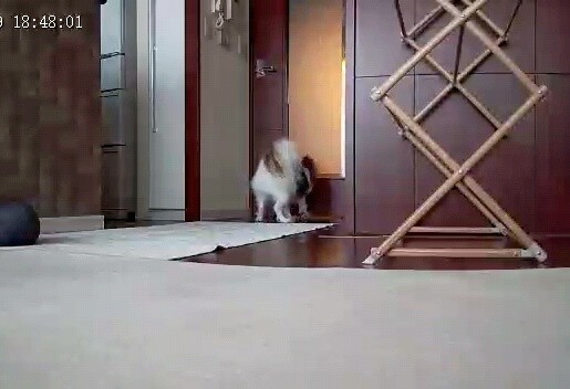 2023-07-29-18-48-04-837-01