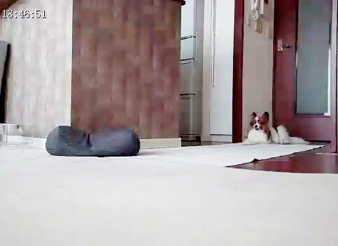 2023-07-29-18-46-52-495_edit_4563985621944211-01