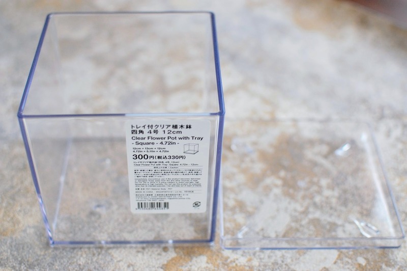 DSC_5895_copy_1504x1000