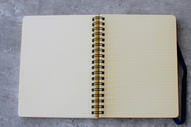 DSC_6924_copy_1504x1000