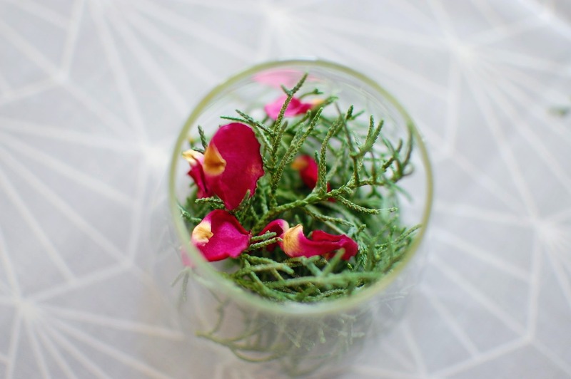 DSC_7086_copy_1504x1000