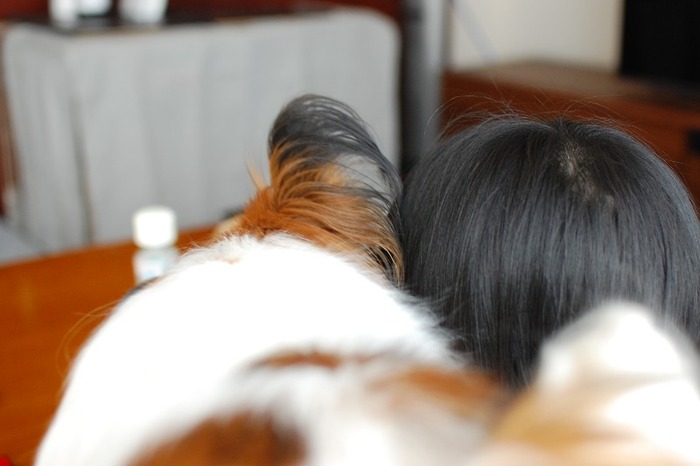 DSC_3994_copy_800x532