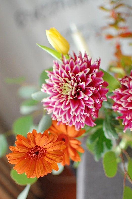 DSC_5458_copy_1000x1504