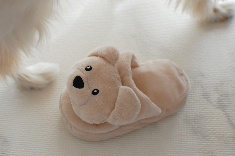 DSC_5784_copy_1504x1000