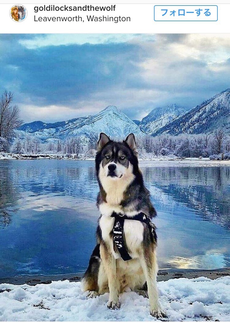 私的癒されインスタまとめ 専業主婦まさきの一日 Powered By ライブドアブログ