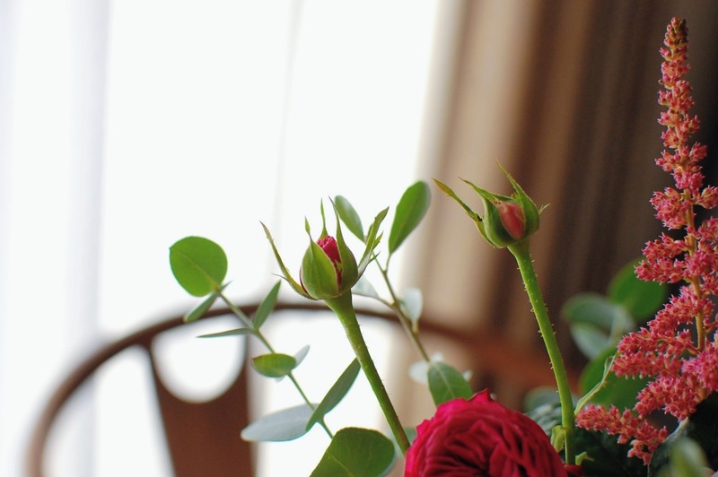 DSC_7062_copy_1504x1000