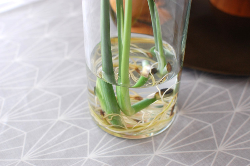 DSC_7065_copy_1000x1504