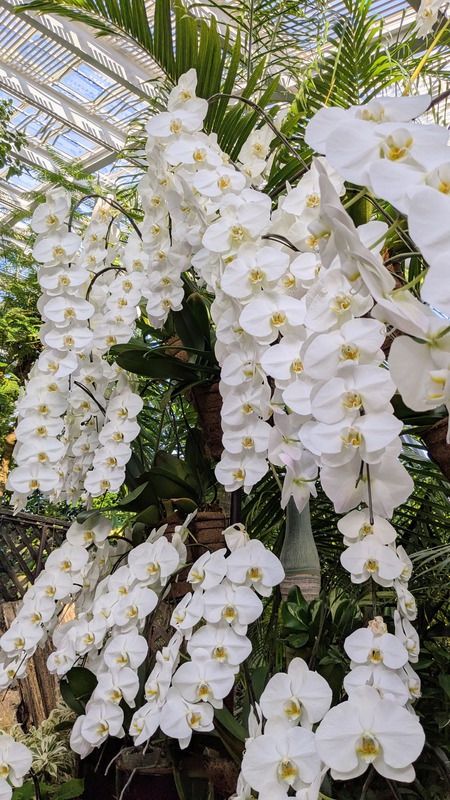 PXL_20251123_050330939~2