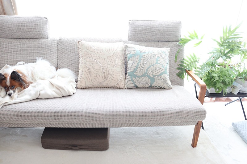 IMG_4138_copy_1500x1000